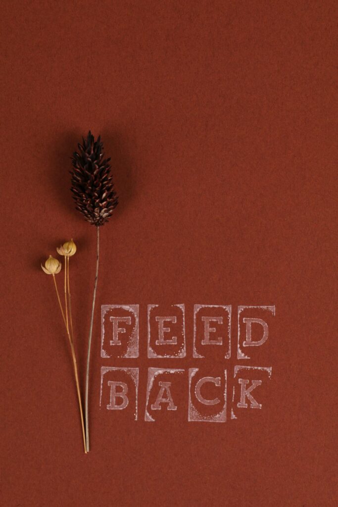 Dried flowers including pinecone, beside the word FEEDBACK on a dark red background