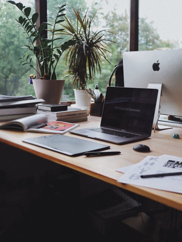 Laptop, papers, mouse, pen, flower pot with plants and books on table