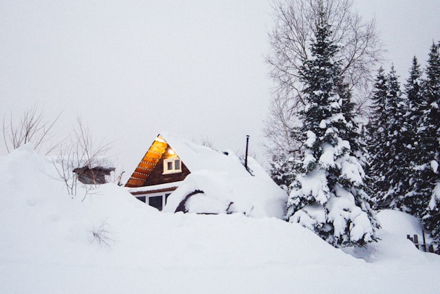 House and tree covered by snow